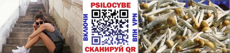 Псилоцибиновые грибы мухоморы маркетплейс состав Инсар